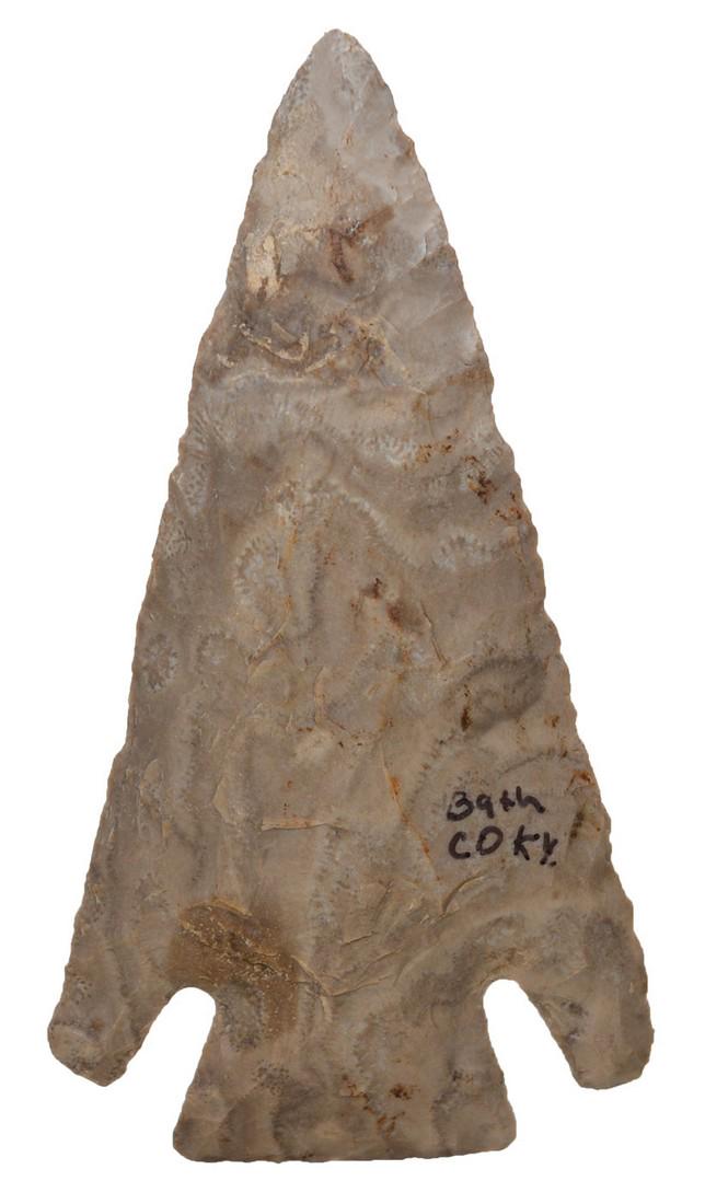 3" Kirk.  Bath Co, KY.  Form of Ft. Payne.  Nicely (1 of 3)