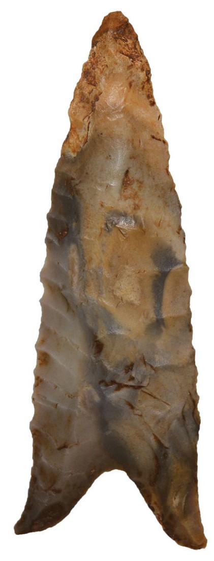 3" Serrated Dalton. MO. Colorful Jeff City Chert.: 3" Serrated Dalton. MO. Colorful Jeff City Chert. Fine condition. Ex-Tommy Bryden, Dr. Dwight Boggs. Putty G9 COA