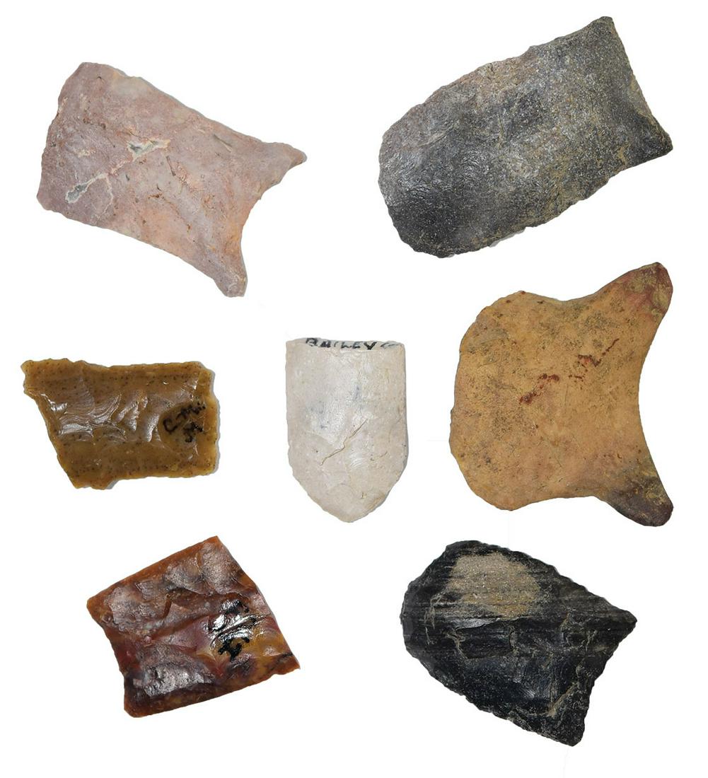 Group of 7 Paleo Point sections. 7/8"-1 1/4". Red: Group of 7 Paleo Point sections. 7/8"-1 1/4". Red Midland base is Scharbauer Site (Midland Co, TX). Ex-Merle Wasson