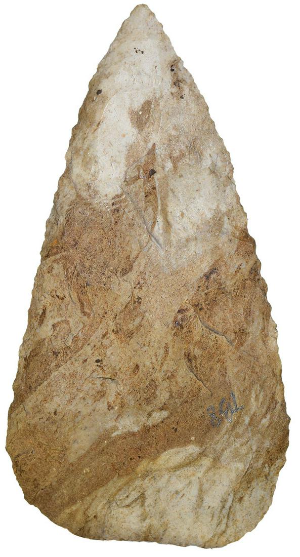 4 7/16" Stanfield. Pike Co, IL. Two tone brown.: 4 7/16" Stanfield. Pike Co, IL. Two tone brown. Ex-Raymond Perry. Putty G9 COA. October 16, 2019 - added copy of COA