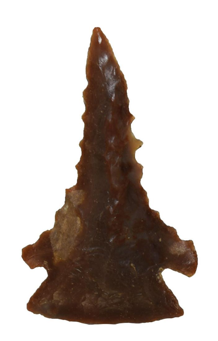 1 5/8" Pinetree. Davis G10 COA. Clark Co, KY. Carter: 1 5/8" Pinetree. Clark Co, KY. Carter Cave. Nicely serrated edges. Davis G10 COA