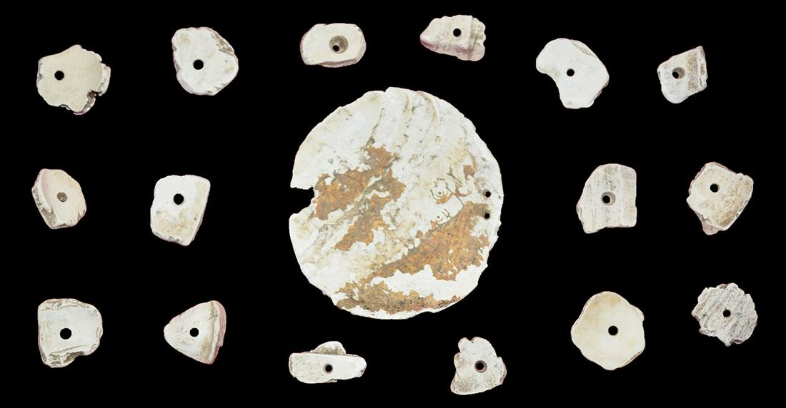 Group of 16 Conch Shell Beads and Drilled Shell Gorget.: Group of 16 Conch Shell Beads and Drilled Shell Gorget. Found together in Jackson Co, AL. Ex-Brandon Vanderver