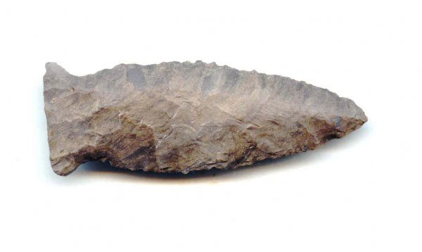 3" Beaver Lake. Cheatim Co, TN. Rogers COA: 3" Beaver Lake. Cheatim Co, TN. Rogers COA. Dover. Ex-Hossa. Dwain Rogers phone contact number is 254-791-5520