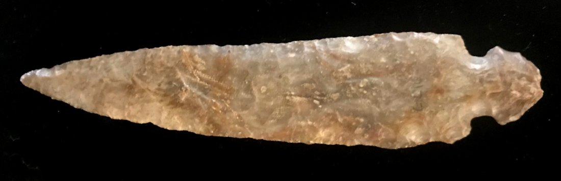 6 1/16" Turkeytail. Davis G9 COA. Bath Co, KY.: 6 1/16" Turkeytail. Bath Co, KY. Colorful Boyle Chert with glossy, wet patina. Fine edgework. Ex-Gary Cuckler. Davis G9 COA. Note: this point does measure 6 1/16", not the 3 1/8" shown on the Davis CO