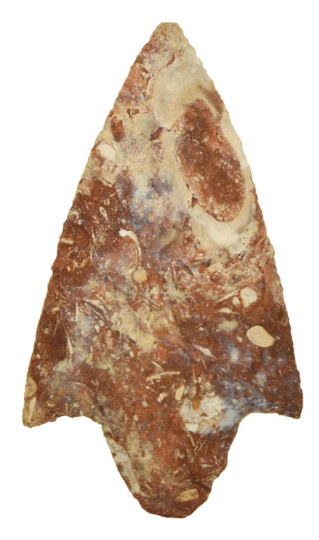 3 1/2" Marion. Alachua Co, FL. Coastal Plains.: 3 1/2" Marion. Alachua Co, FL. Heat Treated Red and White Coastal Plains. Very colorful. Dickey COA (copy)