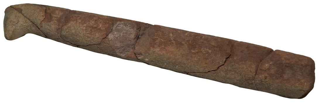 15" Salmon Packer. Washington. Hardstone, broken in: 15" Salmon Packer. Washington. Hardstone, broken in pieces. Excellent display. Davis G7 COA