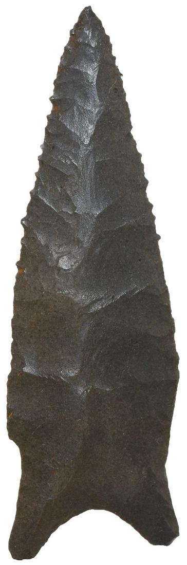 3 3/8" Dalton. Dickey COA. AR. Very well made: 3 3/8" Dalton. Green Co, AR. Very well made with pronounced flaking. Glossy black Pitkin Chert. Fine Dalton (Hill Phase). Found by Randy Russell. Dickey COA
