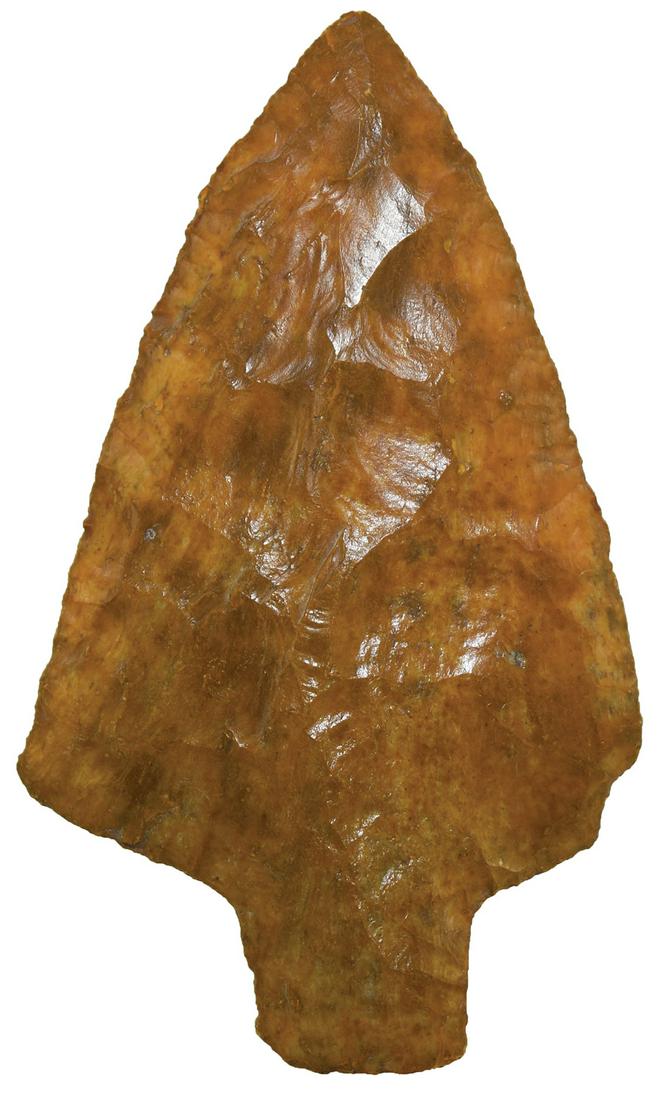 4 1/4" Pickwick. Southern GA. Broad example. Putty: 4 1/4" Pickwick. Southern GA. Broad example. Glossy stained Chert or Agate. Nice. Ex-Jeff Hunt, Eddie Freyer. Putty G8 COA