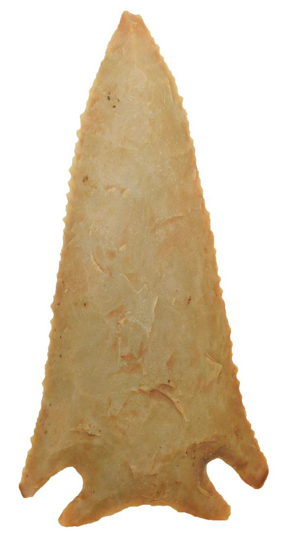 2 13/16" Pinetree. KY. Carter Cave. Nicely beveled,: 2 13/16" Pinetree. KY. Carter Cave. Nicely beveled, detailed edgework. Ex-Ken Rowland. Putty G9 COA
