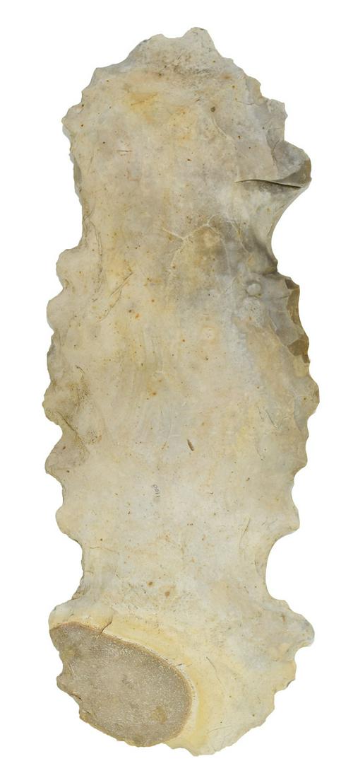 10 3/8" Mayan Eccentric. Large scalloped Flint: 10 3/8" Mayan Eccentric. Large scalloped Flint example. Fine condition. Central America. Pre-Columbian