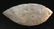 7 1/8" Turkeytail Cache Blade. Pictured in 1968. From - 2