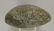 8" Celt found in Dixie Co, FL. A rare FL find made of - 5