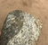 8" Celt found in Dixie Co, FL. A rare FL find made of - 8