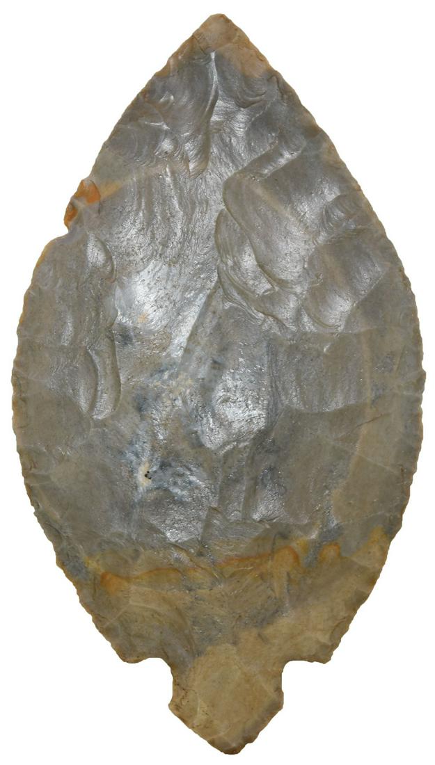 4 3/4" Turkeytail.  Harrison Co, IN.  Found in a cache (1 of 2)