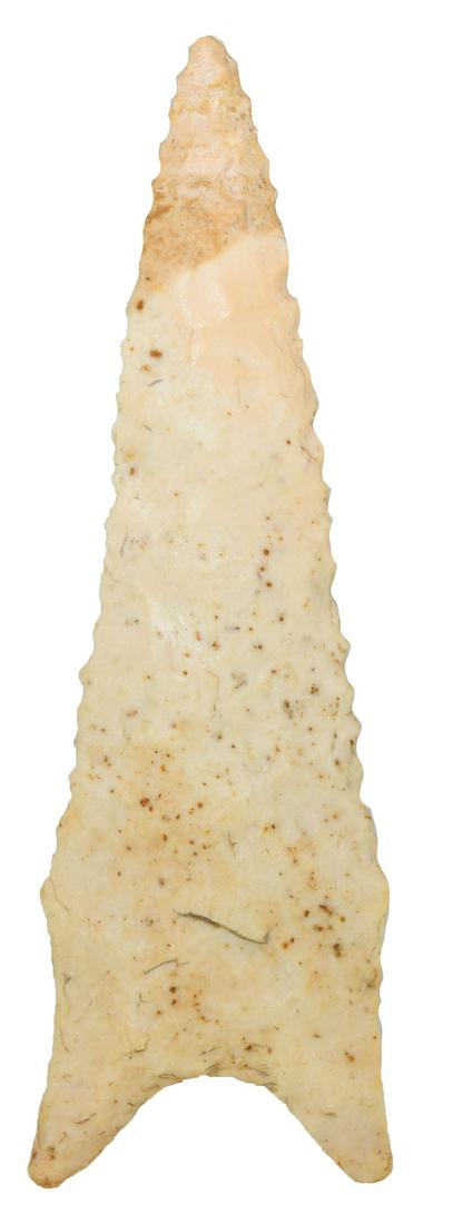 3 7/8" Dalton.  Greene Co, AR.  Davis COA.  Detailed (1 of 3)