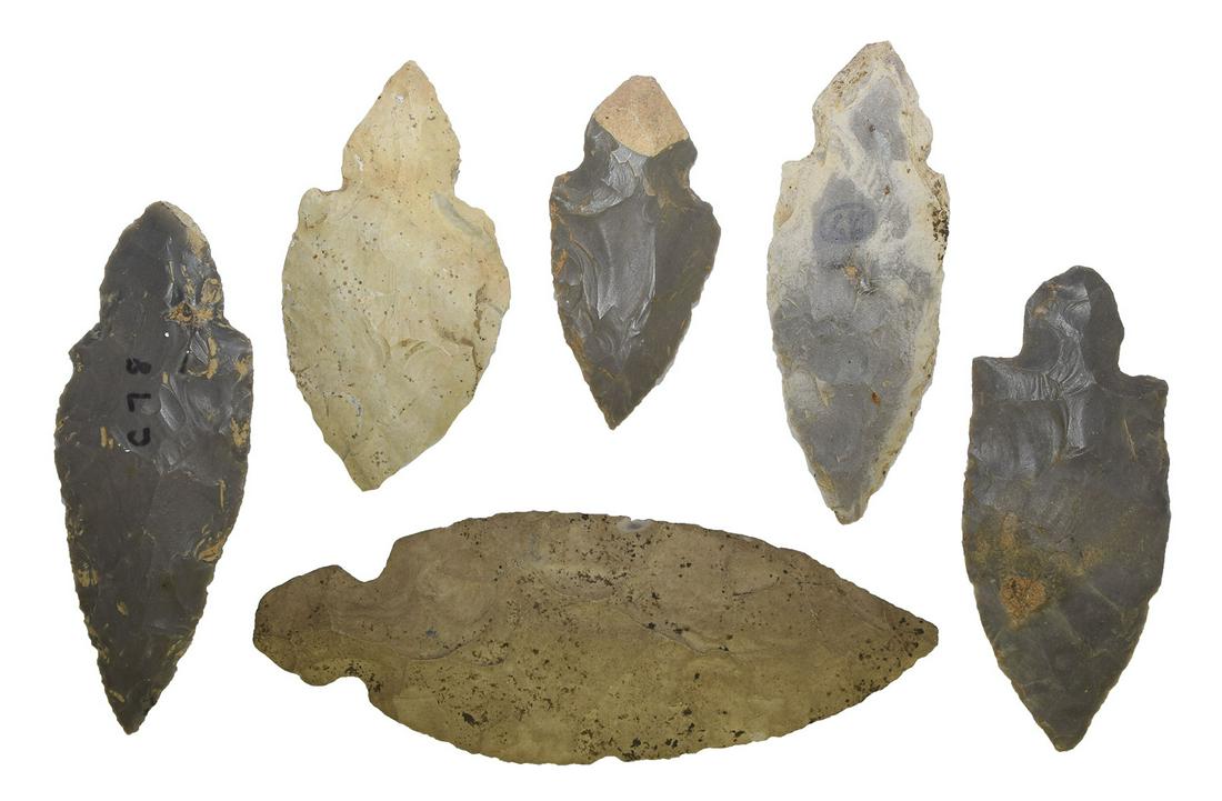 Group of 6 Nice Turkeytails (2 1/4"-4").  All fine (1 of 2)