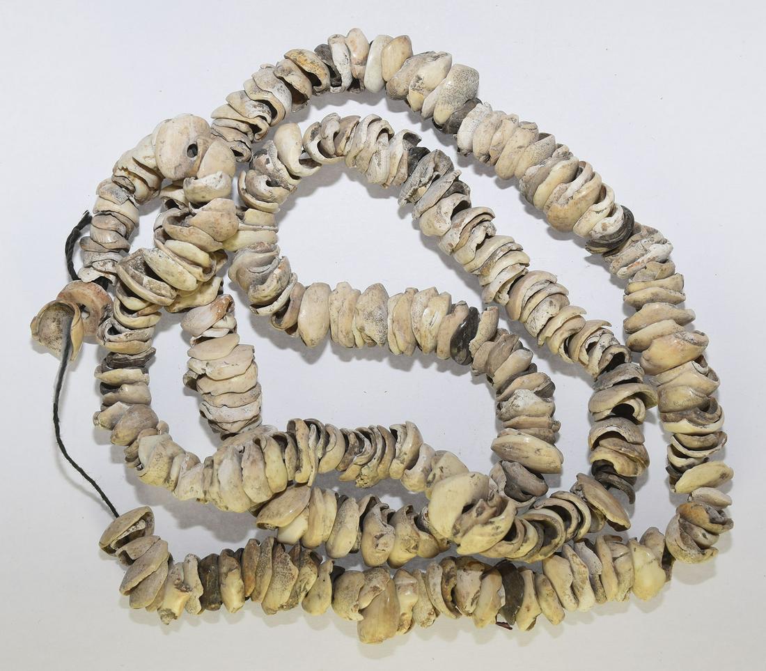 34" Chumash Olivella Shell Necklace (Contra Costa Co, (1 of 3)