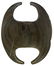 5 1/8" Notched Ovate Bannerstone. Ohio. Vividly banded - 2