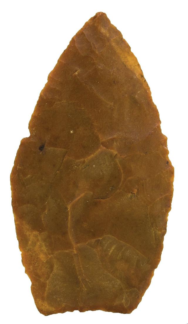 2 7/8" Jack's Reef Preform.  KY.  Davis G9 COA.  Carter (1 of 3)