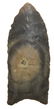 2 11/16" Clovis. Rogers COA. Sumner Co, TN. Well