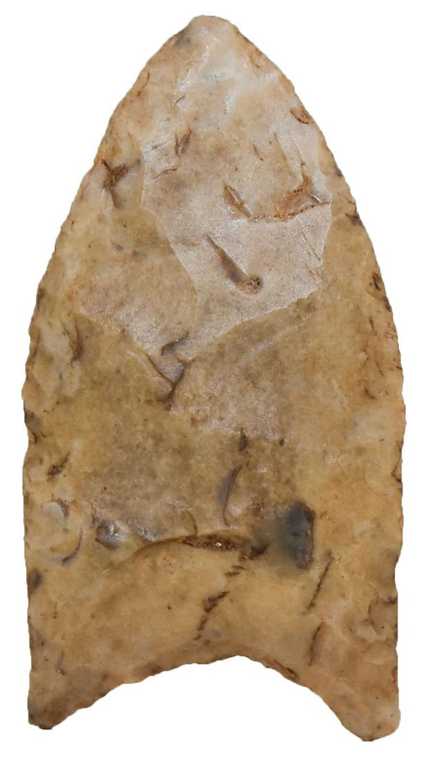 1 5/8" Flintridge Clovis.  Allen Co, OH.  Thin. (1 of 3)