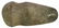 6 3/8" Full Groove Axe. Near Louisville, KY. Long,