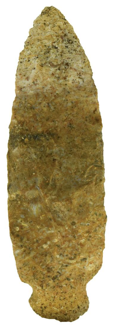 3 7/8" Tablerock. Clark Co, IN. Harrodsburg Chert.: 3 7/8" Tablerock. Clark Co, IN. Harrodsburg Chert. Ex-Richard Lewman estate
