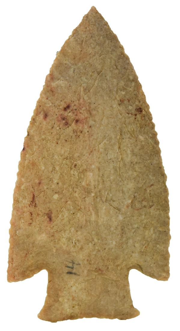 Beautiful 3 1/2" Hardin. Davis G10 COA. Brown Co, IL.: Beautiful 3 1/2" Hardin. Brown Co, IL. Finely made with detailed edge flaking and flared base. Glossy Woodford Chert. Ex-Gary Lewis. Davis G10 COA. This item is a featured piece on the introduction pa
