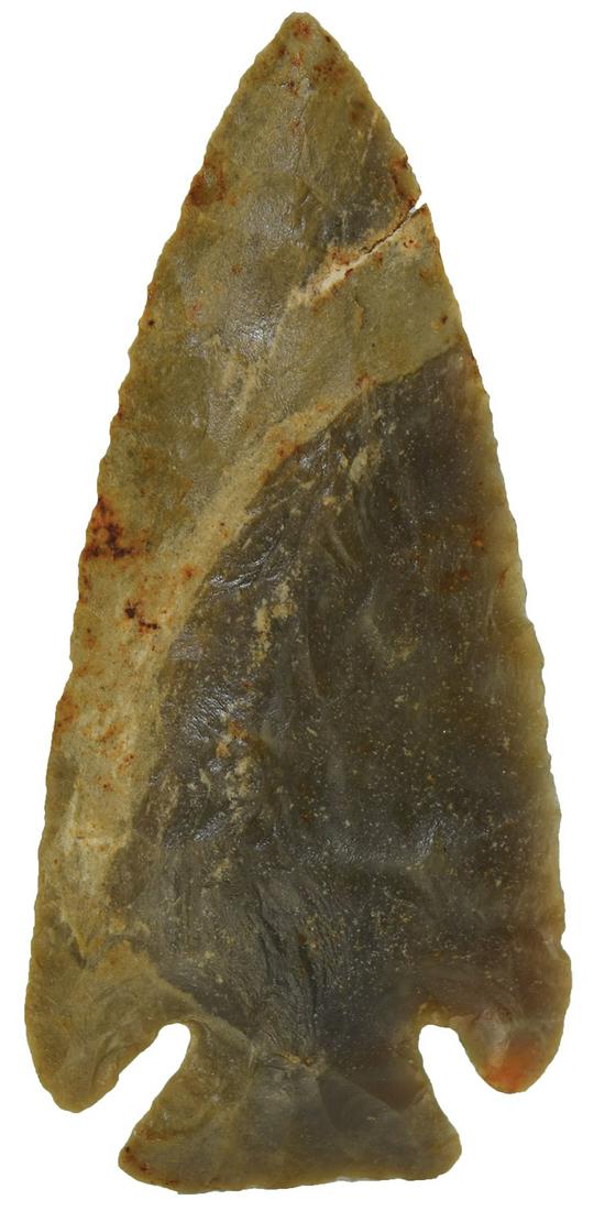 3 13/16" Lost Lake. Rogers COA. Smith Co, TN.: 3 13/16" Lost Lake. Smith Co, TN. Beautiful two tone Hornstone with small seam in cortex. G10 in any frame. Ex-Dr. Joe Otten. Rogers COA. This is a featured item in this auction's catalog (introductio