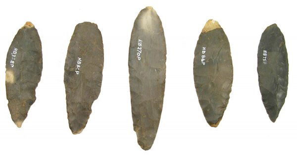 5 Pinckneyville Cache Blades, Davis COA: 159. 5 Pinckneyville Cache Blades. KY. Pictured (book included) 3 7/8"-5 1/2". Davis COA