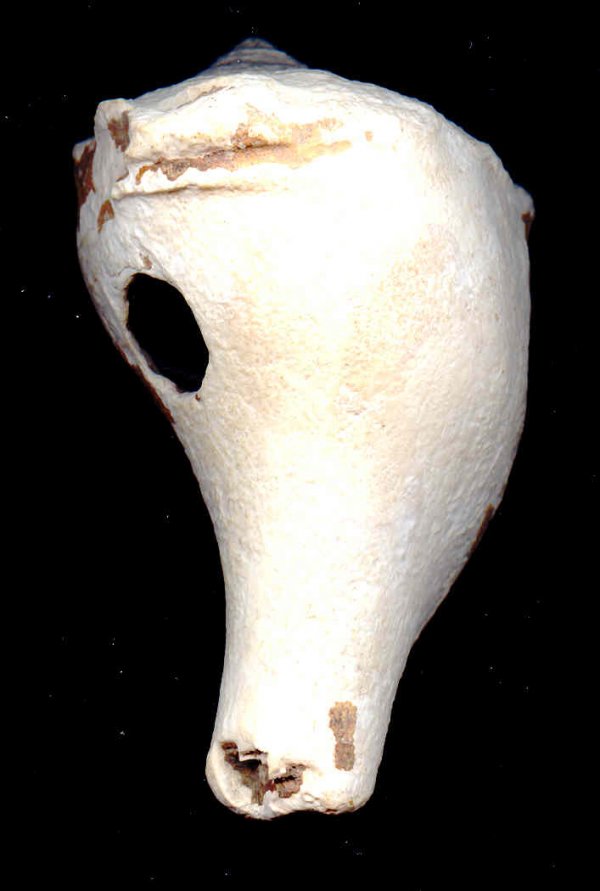 204 Conch Shell Hammer, FL