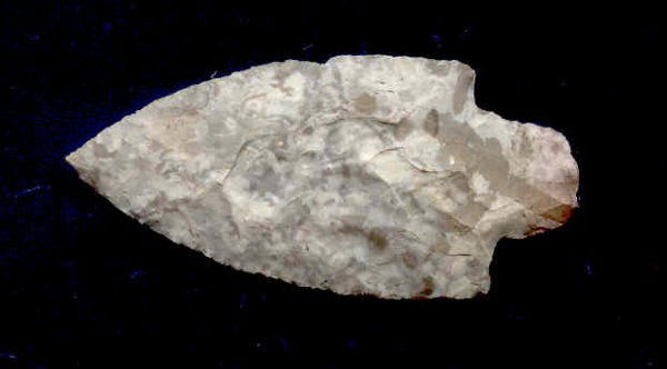 Adena, Rogers COA: 229. 3 3/16" Adena. KY. Ft. Payne. Nice. Rogers COA