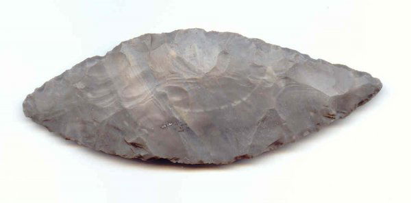 Leaf Blade: 400. 4 3/8" Leaf Blade. Allegan Co, MI