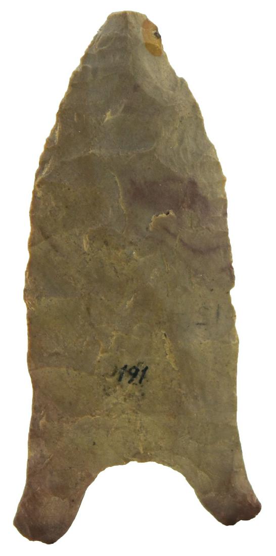2 11/16" Quad. Henry Co, TN. Long barbs on this Paleo: 2 11/16" Quad. Henry Co, TN. Long barbs on this Paleo point. Thin, well made. Ft. Payne. Ex-Doug Underwood, Ray Carr