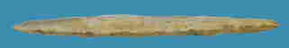 item-96923517=3