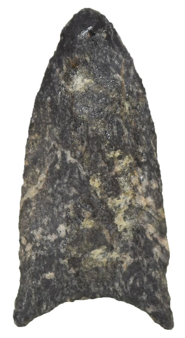 1 7/8" Paleo Point (Crowfield variant?). New York.: 1 7/8" Paleo Point (Crowfield variant?). New York. Thin, fine condition. Black chert with white streaking