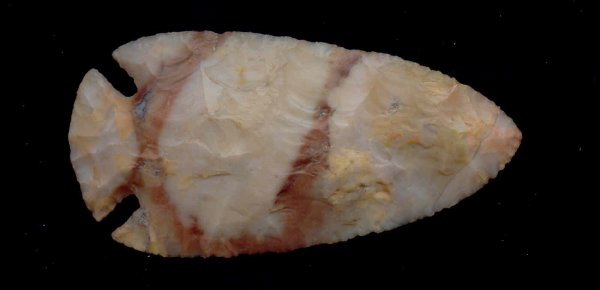 3 3/8" Dovetail. Ross Co, OH. Perino COA Paper: 176. 3 3/8" Flintridge Dovetail. Ross Co, OH. Ex-Marsh, Ring. Color. Perino and Putty COA's