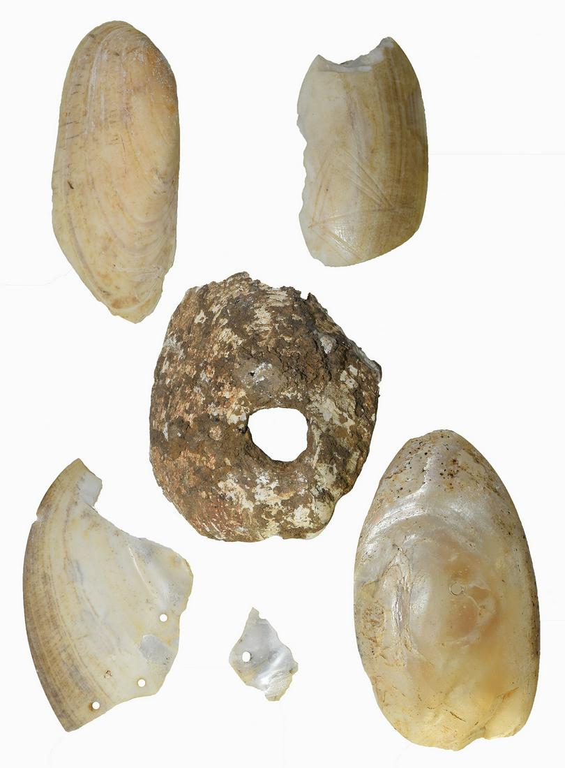 Group of 5 Shell Tools. 3" - 3 1/4". Several are (1 of 2)