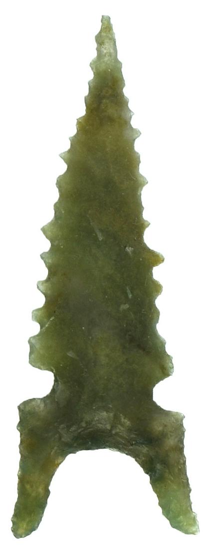 1 7/8" Northern. OR. "Wolf Ear" variety. Translucent (1 of 2)