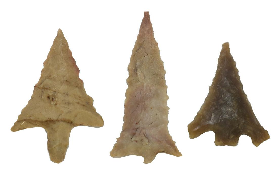 3 Texas Birdpoints. 7/8"-1 1/4". Basset, Perdiz and (1 of 2)