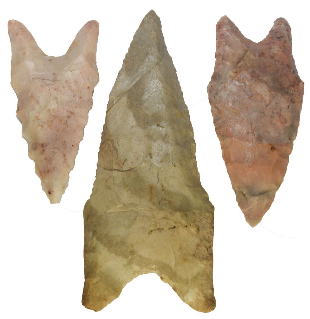 3 Fine Daltons. St. Charles Co, MO, Adams Co, IL, Perry (1 of 2)