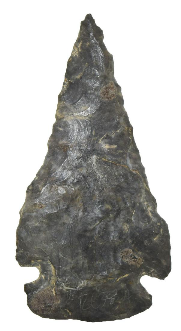 3" Wide Base Dovetail.  Holmes Co, OH.  Coshocton. (1 of 3)