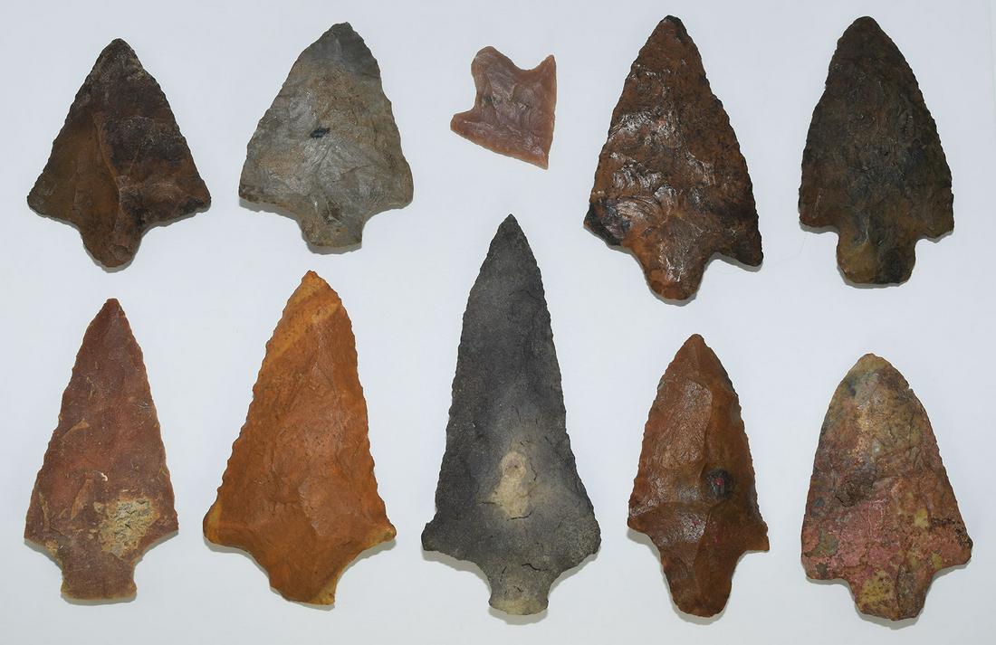 Group of 10 Florida Points.  Longest 4 1/8"  All in god (1 of 2)