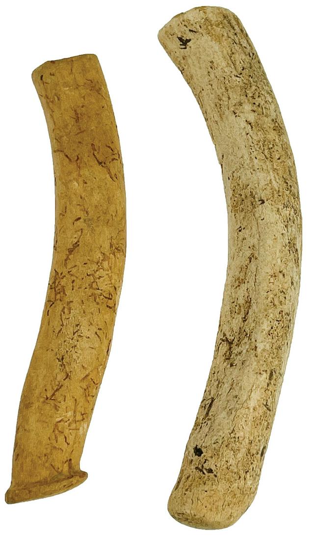 2 Atlatl Hooks.   Smaller is nicely worked and pictured (1 of 3)