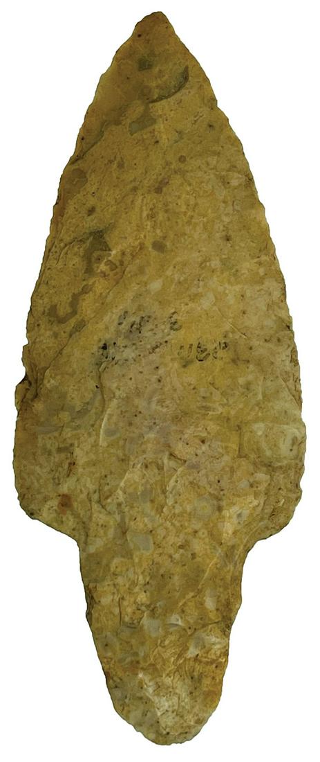 3 5/8" Waubesa. Fulton Co, IL. Colorful fossil chert.: 3 5/8" Waubesa. Fulton Co, IL. Colorful fossil chert. Well made. Ex-Dean Mesnard. Putty G8 COA