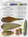 item-107295746=5