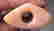 item-107295782=5