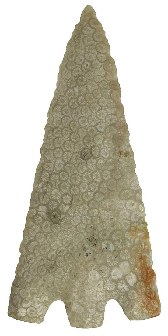 3 1/8" Hernando.  FL.  Beautiful spotted petrified (1 of 3)