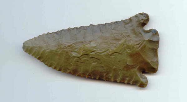 3" Pinetree. Davis Paper G9. KY. Green Hornstone: 3" Pinetree. KY. Very nice. Davis Paper. G9. Green tinted Hornstone