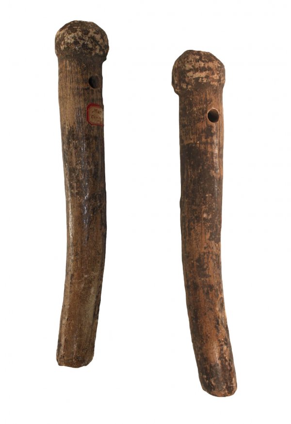 8 3/4" Elk Antler Pendant. Jackson Paper. Putty P: 8 3/4" Elk Antler Pendant. Mason Co, KY. Rare. Drilled for suspension. Jackson and Putty Papers